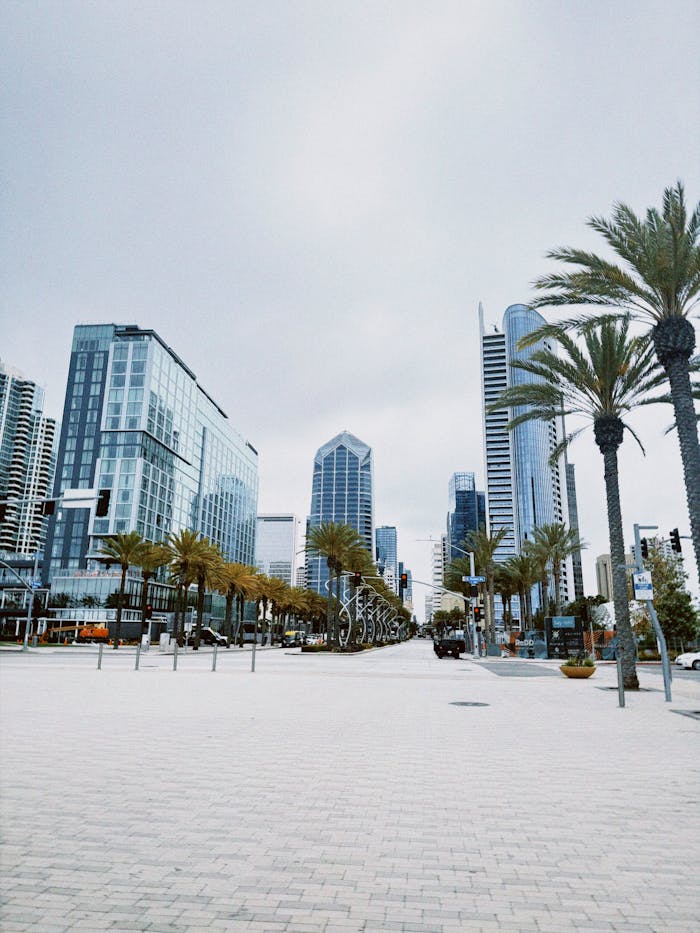 Modern skyscrapers in downtown San Diego with a clear sky and palm-lined streets.